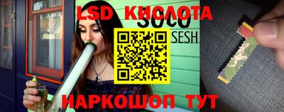 прущие грибы Изобильный