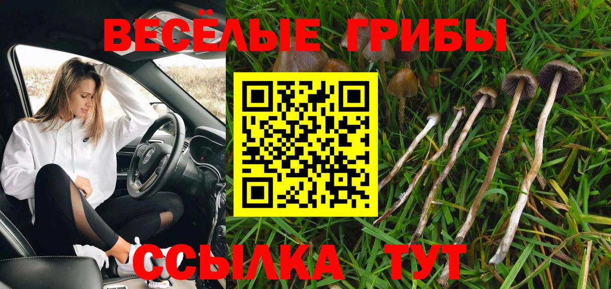 Псилоцибиновые грибы MAGIC MUSHROOMS  Галлюциногенные грибы Cubensis  Заинск  Вход с VPN 